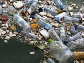 Plastiques dans un cours d'eau