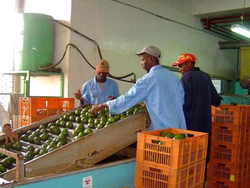 Le travail en équipe renforce-t-il la cohésion ? (Mbongwana)